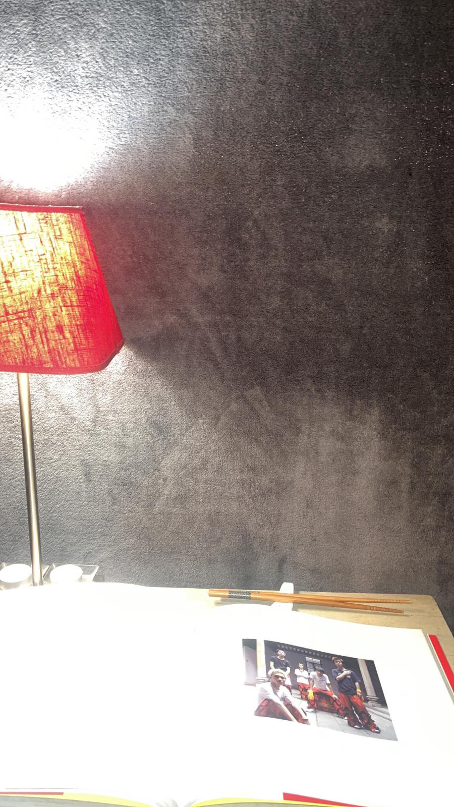 Vermell A Part – Art xinès contemporani de la col·lecció Sigg (2008)